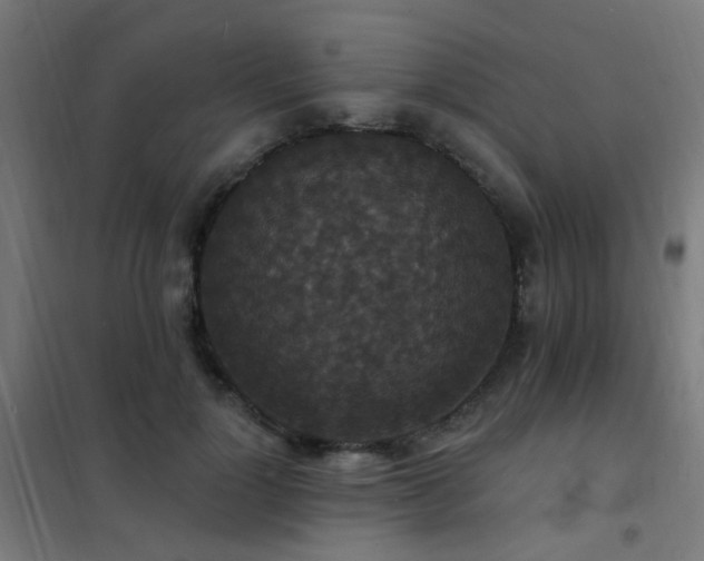 X0000102230748200807251234