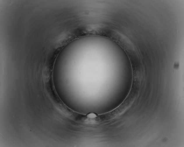 X0000102230751200807251235