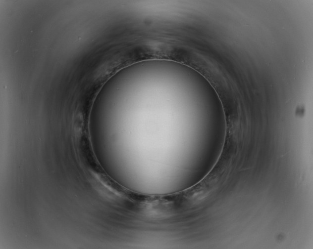 X0000102230752200807251235