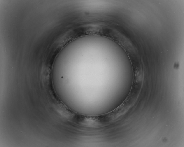 X0000102230753200807251235