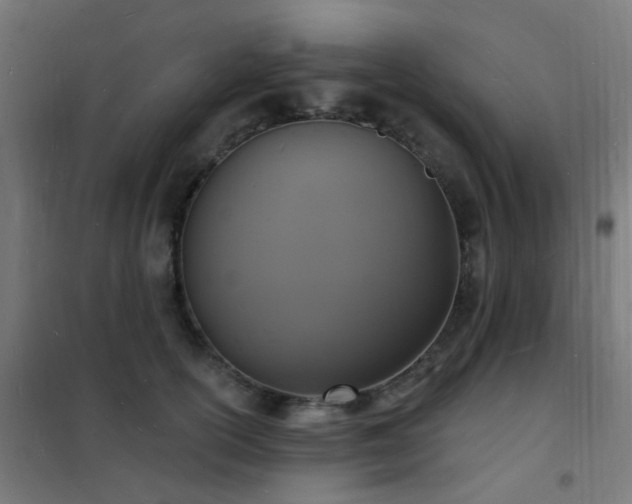 X0000102230754200807251235