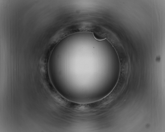 X0000102230755200807251235