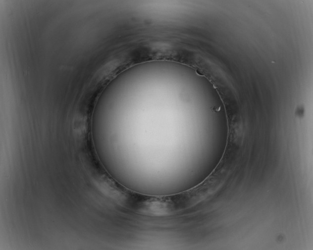 X0000102230756200807251235