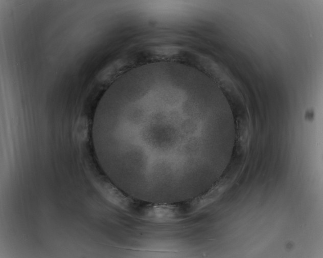 X0000102230758200807251235