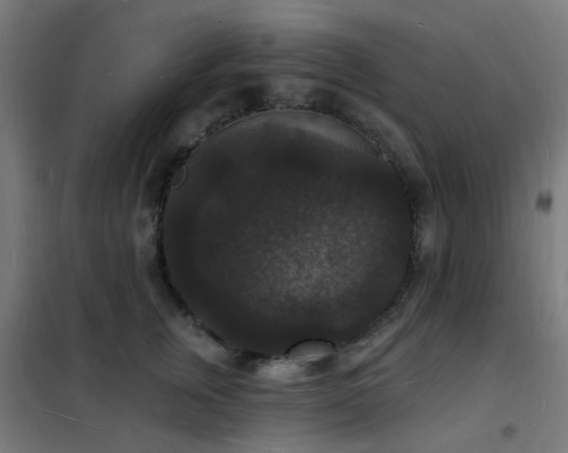X0000102230759200807251235