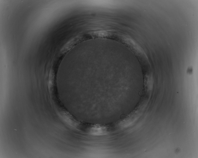 X0000102230760200807251235