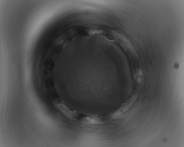 X0000102230763200807251235