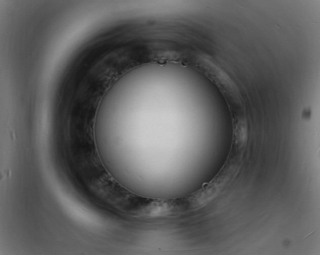 X0000102230764200807251235