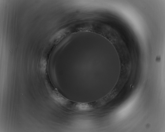 X0000102230767200807251235