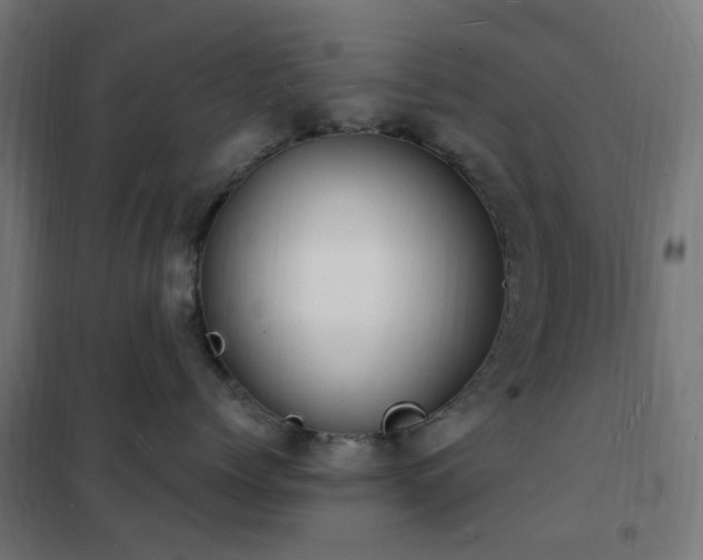 X0000102230768200807251235