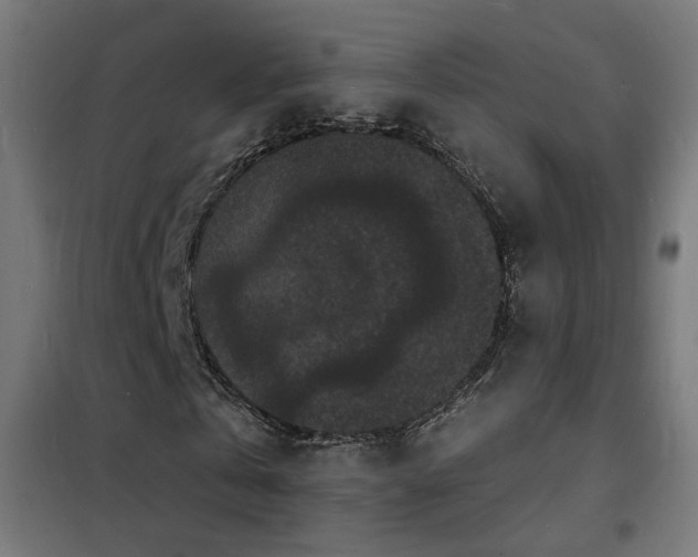X0000102230769200807251234