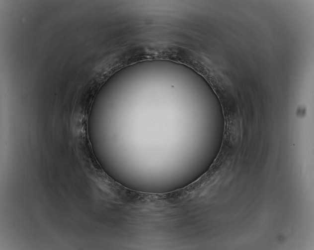 X0000102230770200807251234