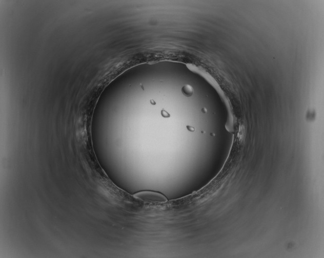 X0000102230771200807251234