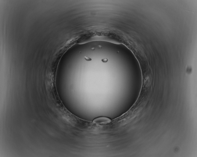 X0000102230772200807251234