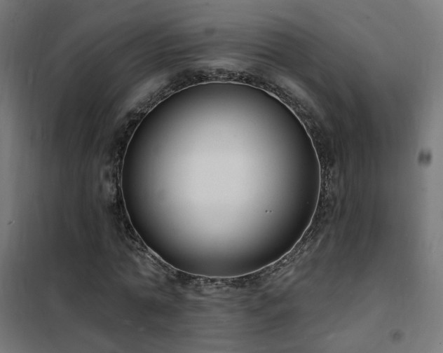 X0000102230774200807251234