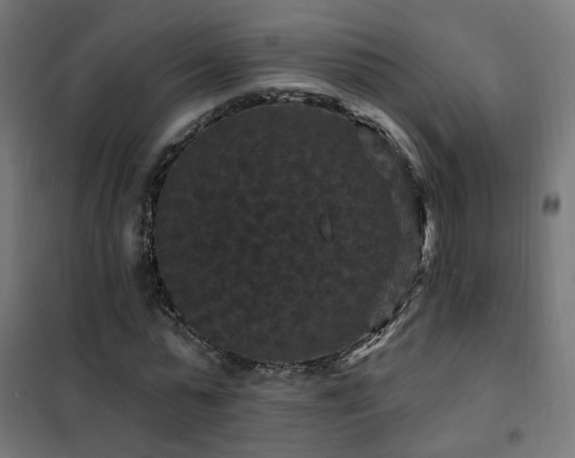 X0000102230775200807251234