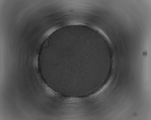 X0000102230777200807251234