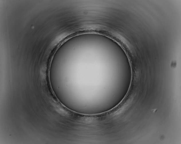 X0000102230778200807251234