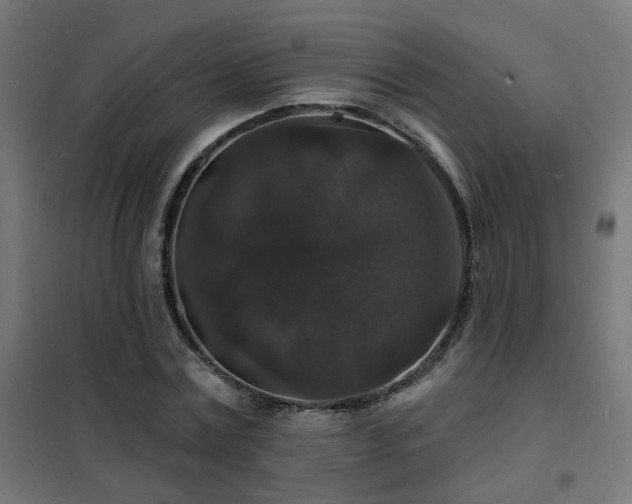 X0000102230779200807251234