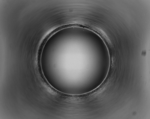 X0000102230780200807251234