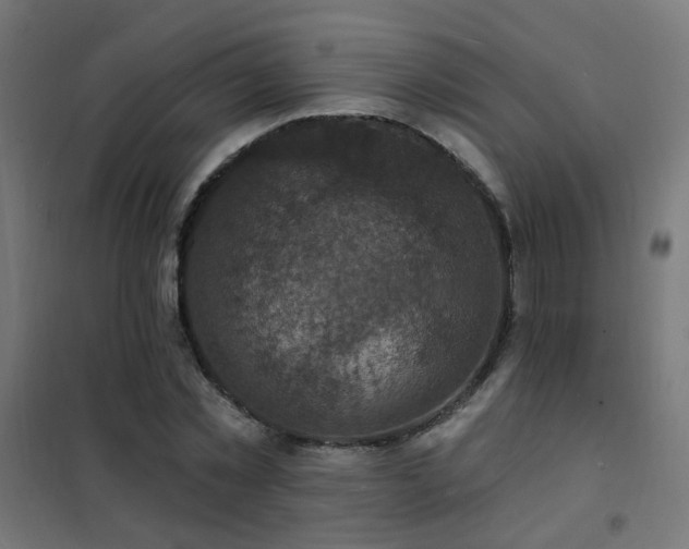 X0000102230781200807251234