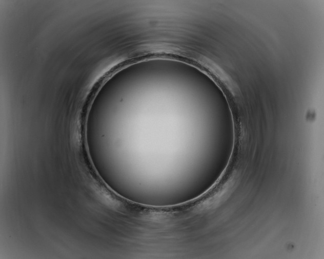 X0000102230782200807251234