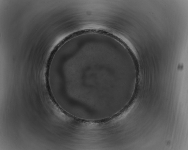 X0000102230783200807251234