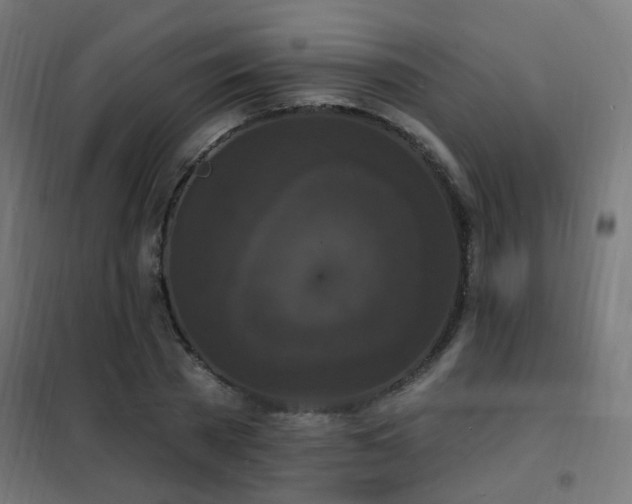 X0000102230785200807251234