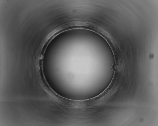X0000102230786200807251234