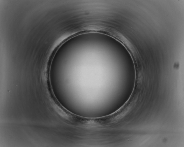 X0000102230787200807251234