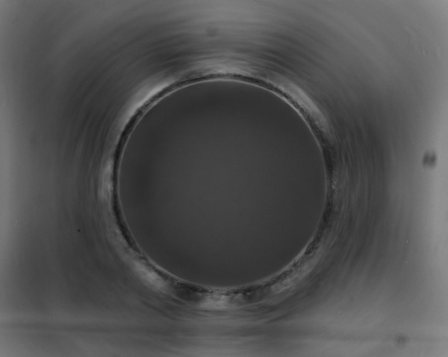 X0000102230790200807251234