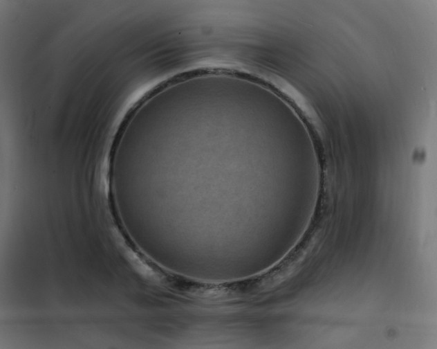 X0000102230791200807251234
