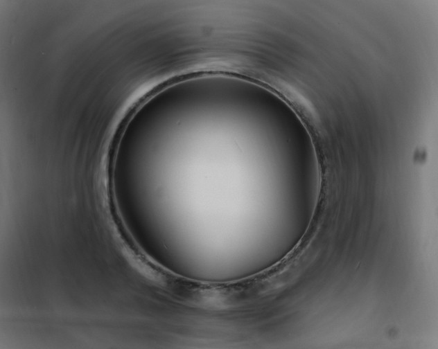 X0000102230792200807251234