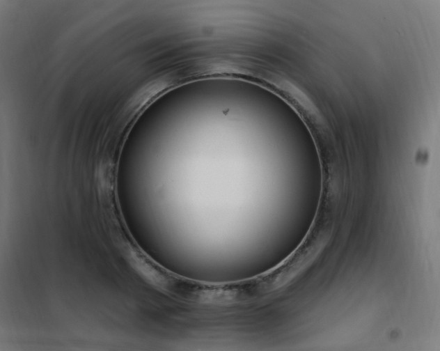 X0000102230793200807251234