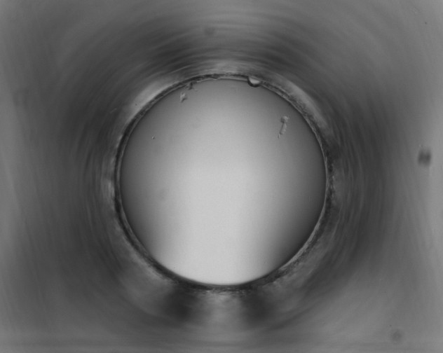 X0000102230794200807251234