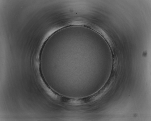 X0000102230795200807251234