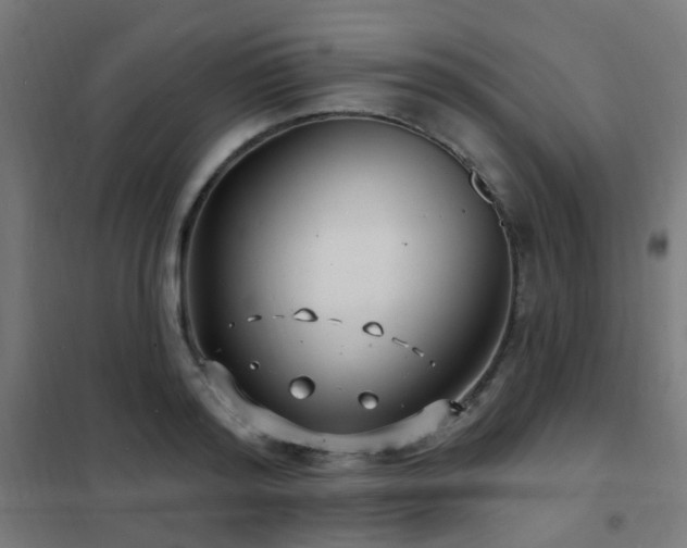 X0000102230796200807251234
