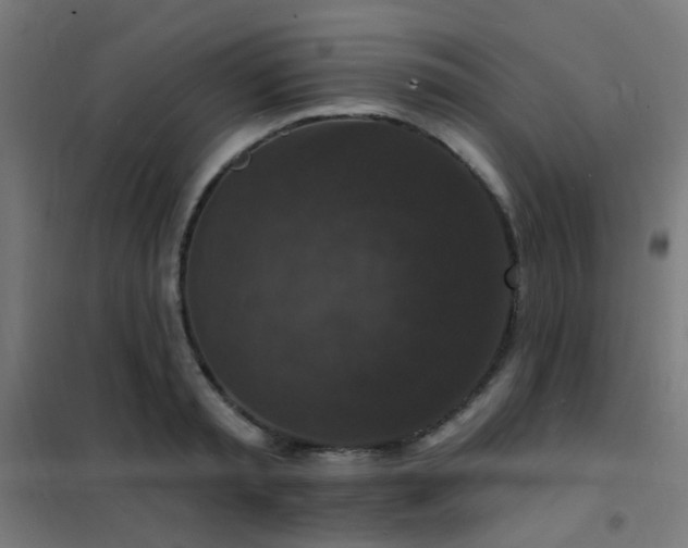 X0000102230797200807251234