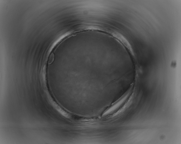 X0000102230798200807251234