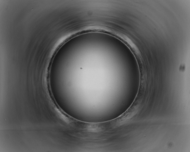 X0000102230799200807251234