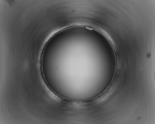 X0000102230803200807251234