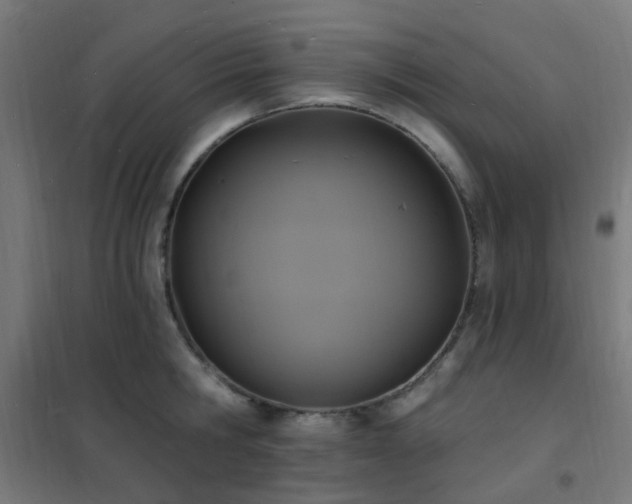 X0000102230806200807251234