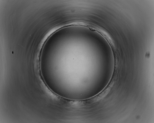 X0000102230808200807251234