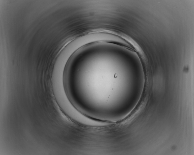 X0000102230809200807251234