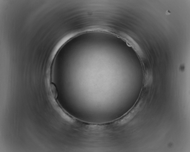 X0000102230812200807251233