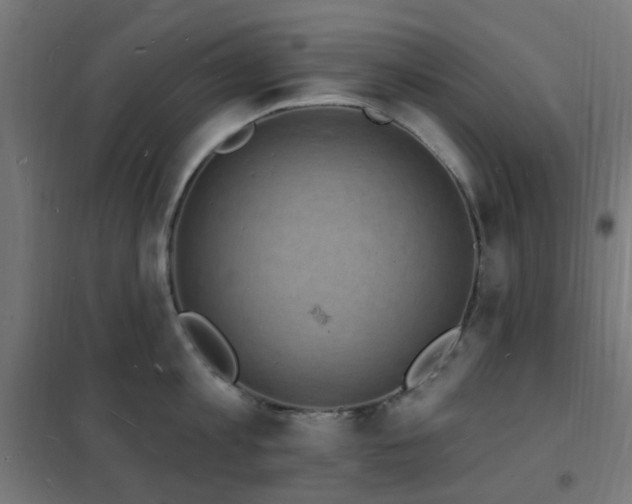 X0000102230813200807251233