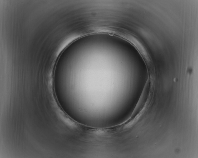 X0000102230814200807251233