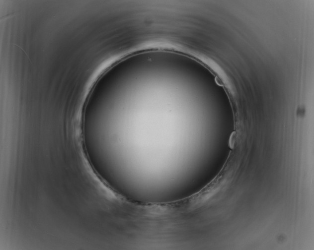 X0000102230815200807251233