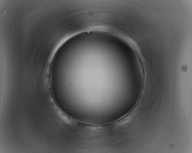 X0000102230816200807251233