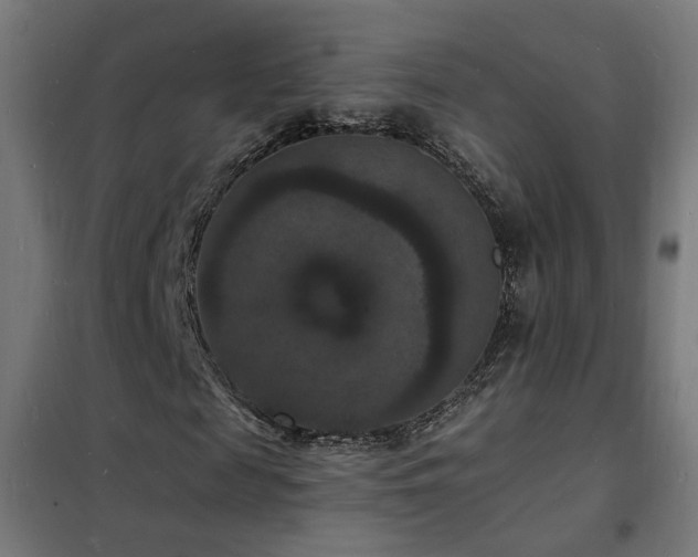 X0000102230817200807251233